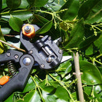 Pruning Shears™ | Alltid en vacker trädgård!