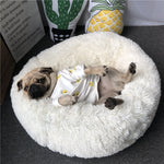 Soft Pet Sleeping Bag™ | Superkomfortabel!